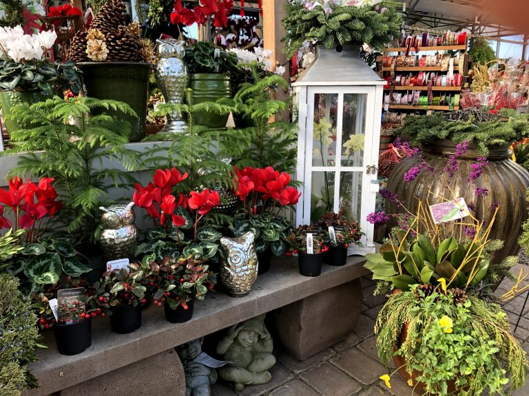 The Gallery Page 2 Gardners Landscape and nursery