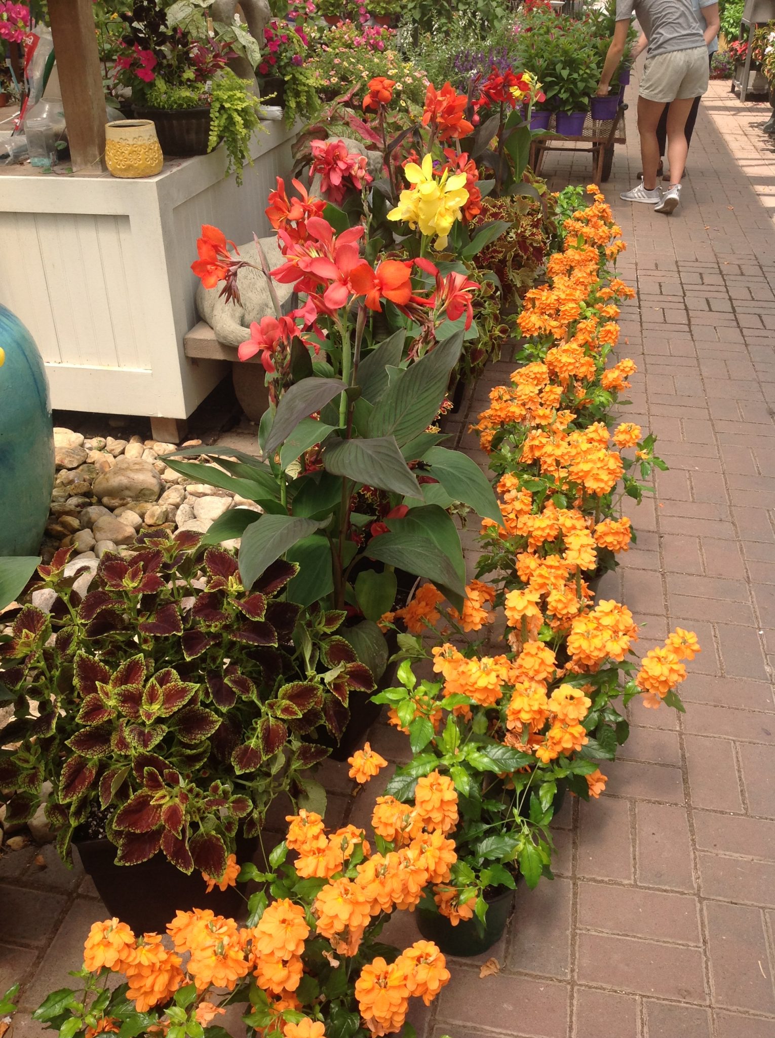 The Gallery Gardners Landscape and nursery