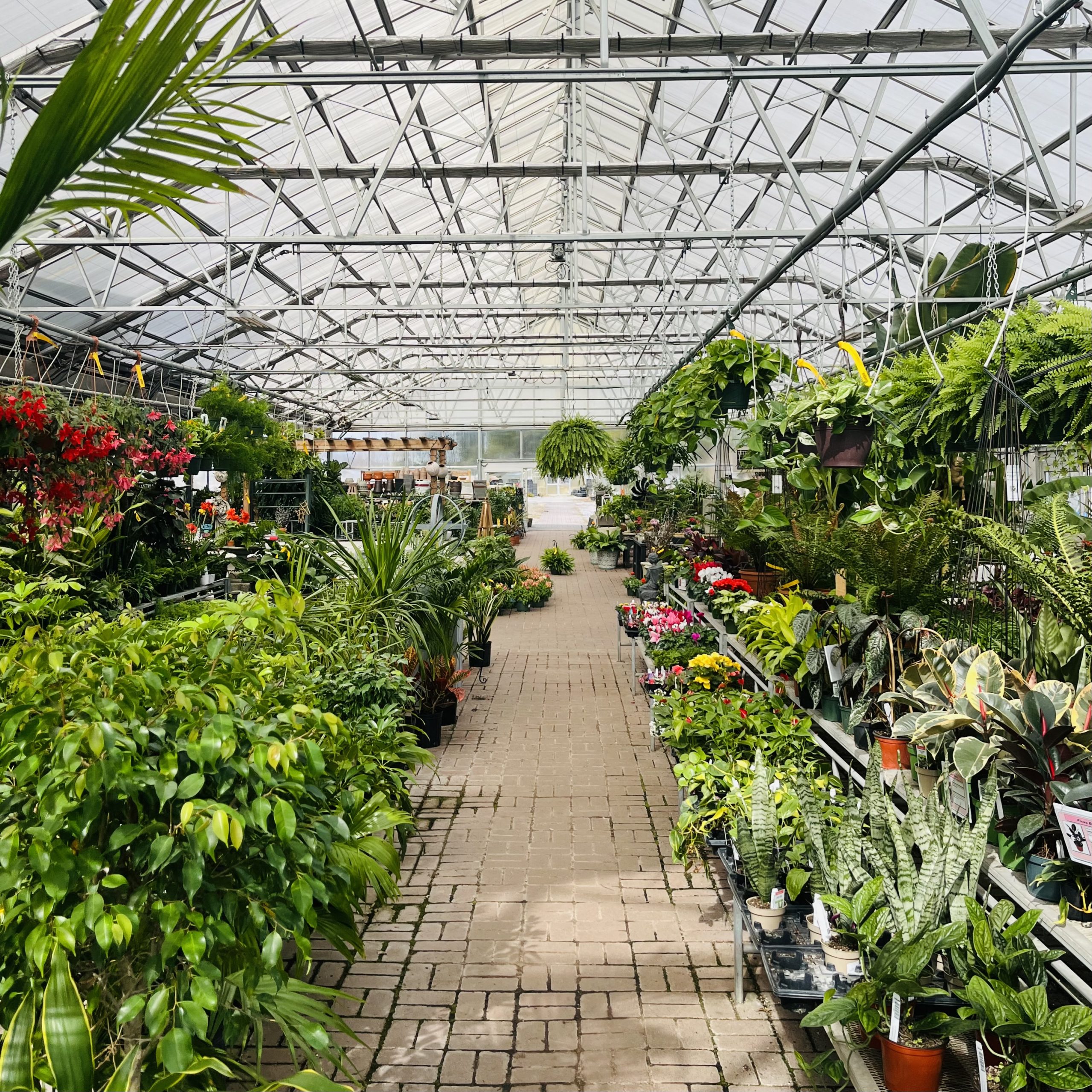 This Week at Gardner’s Gardner's Landscape Nursery